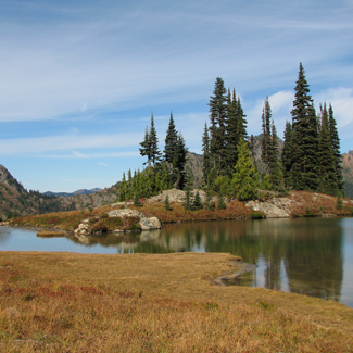 Birding Site of the week image